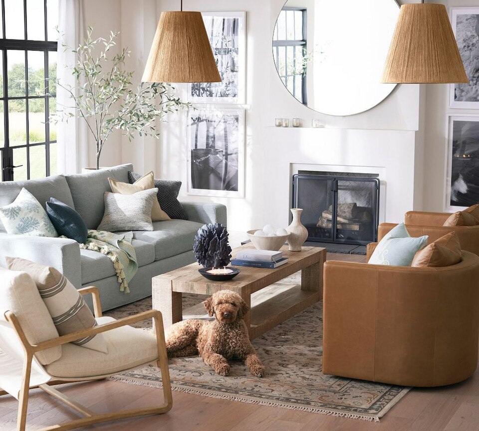 Ayden Chair Pottery Barn